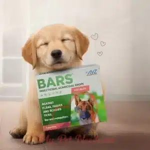 bars for dogs