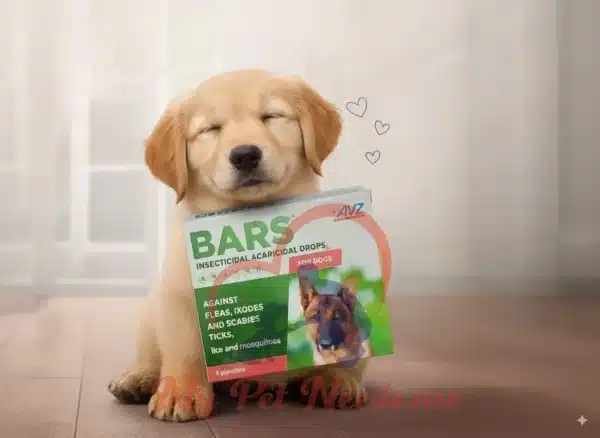 bars for dogs