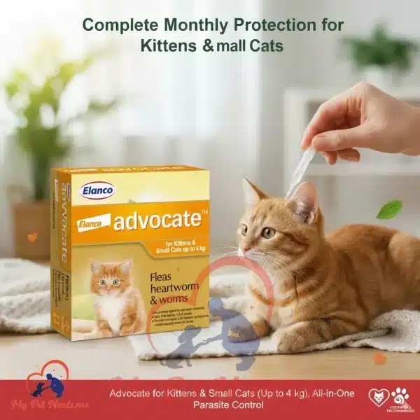 Advocate for Small Cats