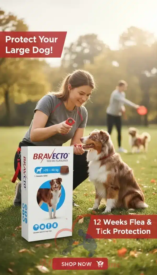 Bravecto for large dogs