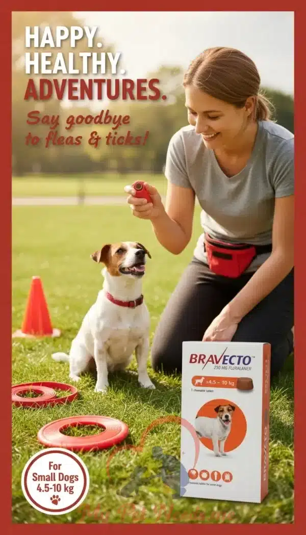 Bravecto for small dogs (4.5-10 kg) - one chewable tab 2