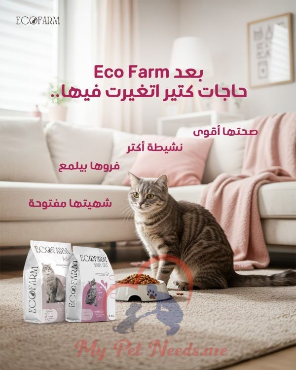 EcoFarm Dry food for Adult Cats