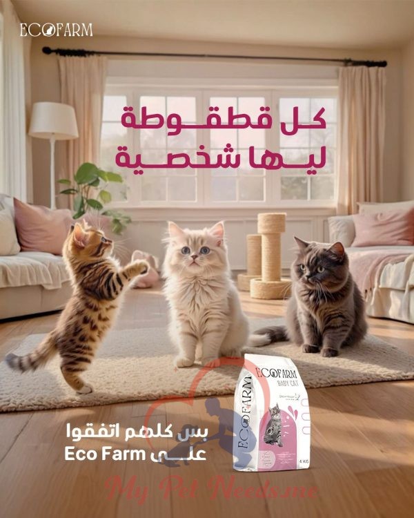 Ecofarm Kitten dry food