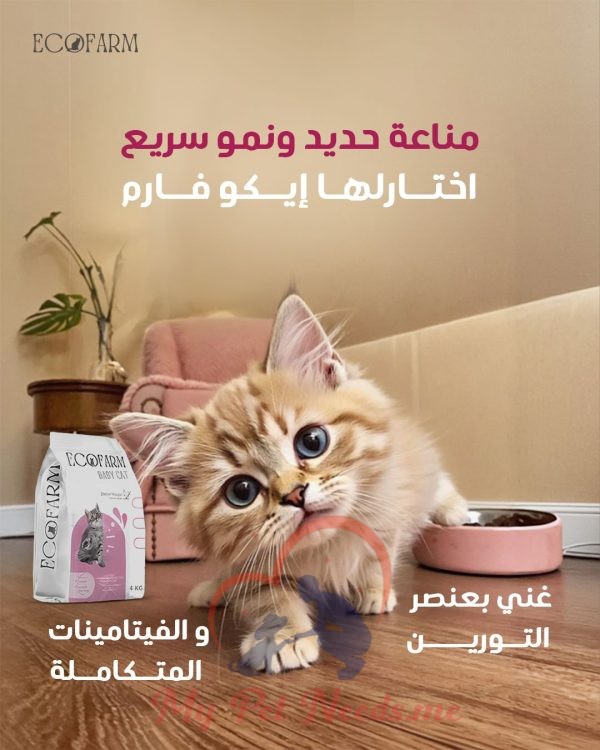 Ecofarm Kitten dry food