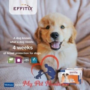 effitix for dogs ads