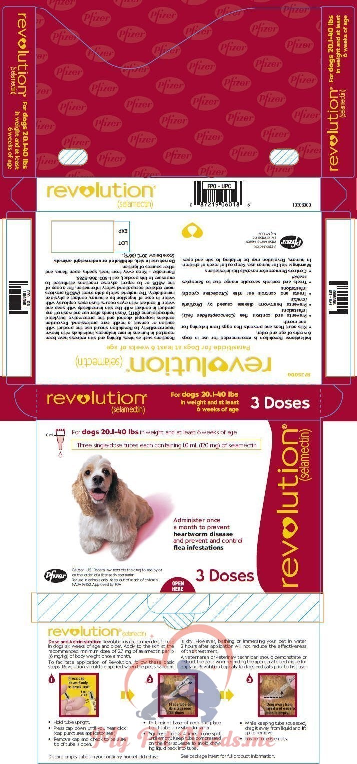Kids Store - Woo Product Template 8 Revolution 120 mg spot-on for 9-20 Kg Dogs