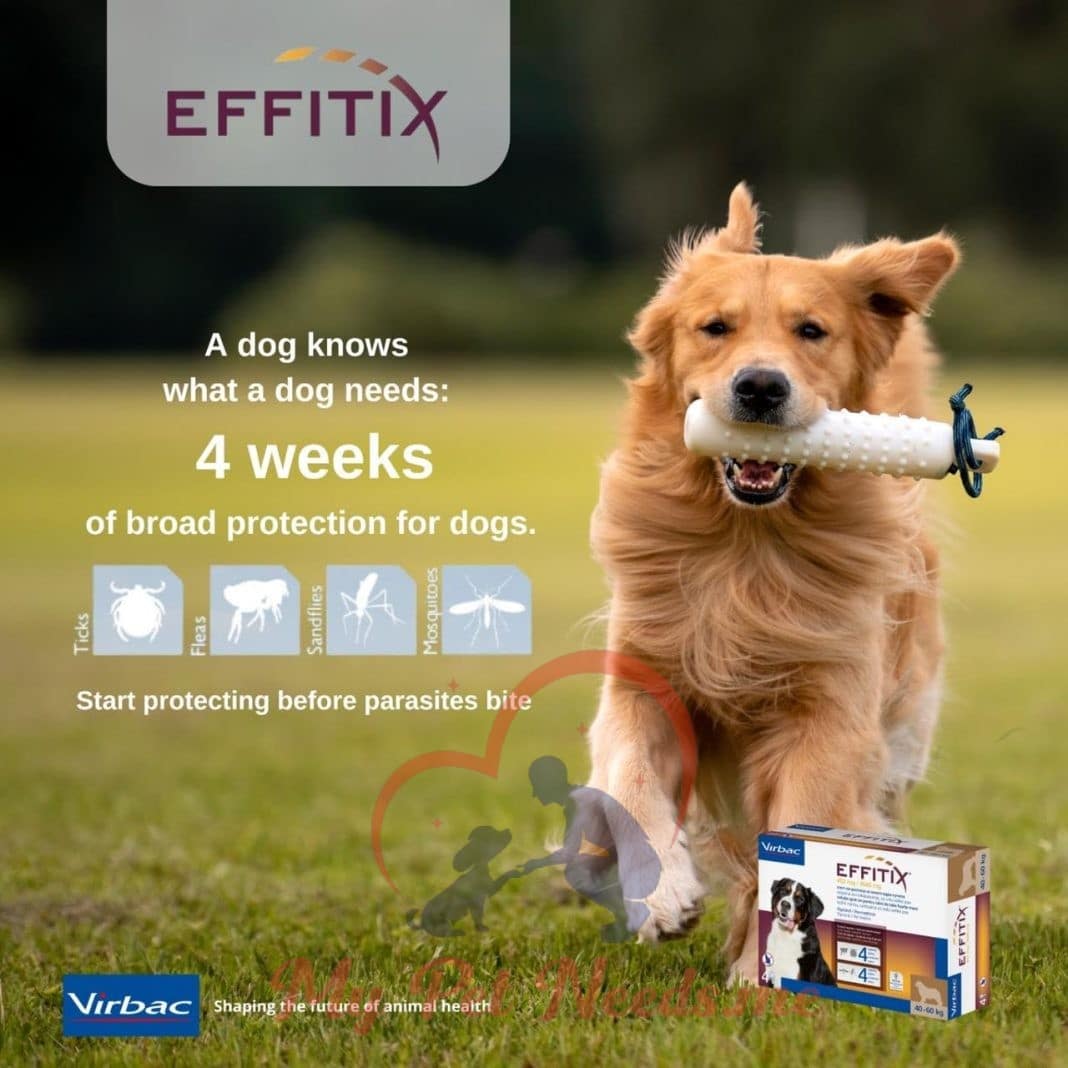 effitix for dogs ads