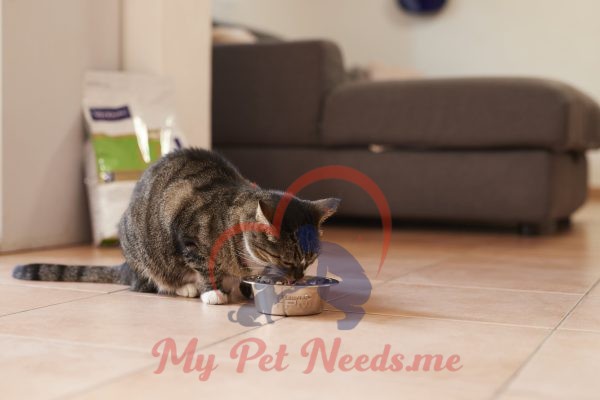 Virbac dry food for Cat Urology Dissolution & Prevention U2