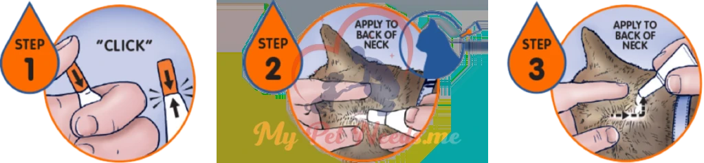 how to use spot on ampoules on pets