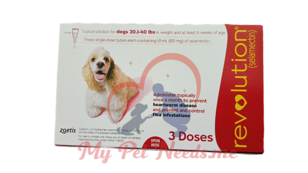 red -revolution-dogs - ampoule