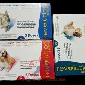 revolution ampoule 1