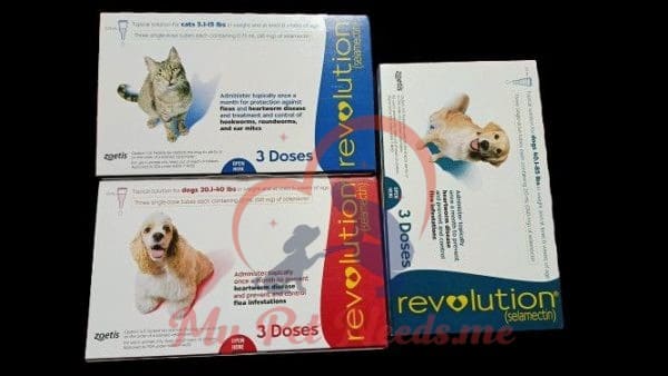 revolution ampoule 1