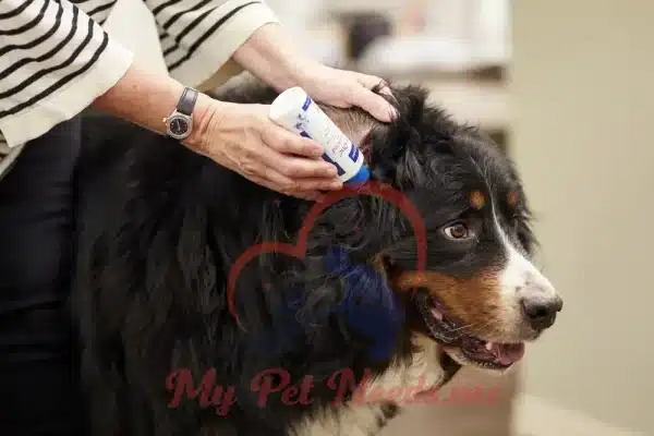 Virbac EpiOtic Ear Cleaner for Dogs & Cats - Cleans & Deodorises webp