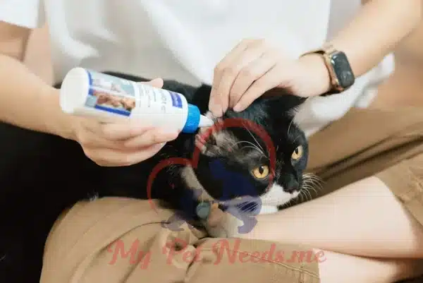 Virbac EpiOtic Ear Cleaner for Dogs & Cats - Cleans & Deodorises webp